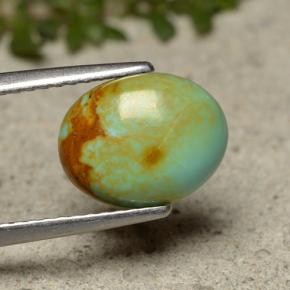 Turquoise vert naturelle coupe ovale, 1,91 ct, opaque