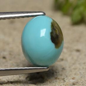 Turquoise bleue naturelle coupe ovale, 2,00 ct, opaque