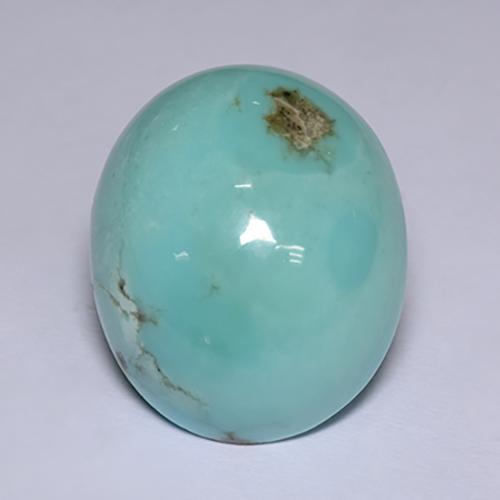 Turquoise Bleu naturelle Coupe ovale, 17.82 ct, Opaque