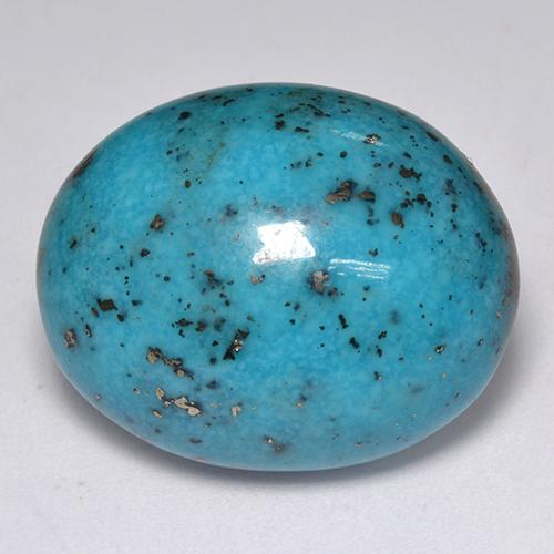 Turquoise turquoise naturelle coupe ovale, 23,76 ct, opaque