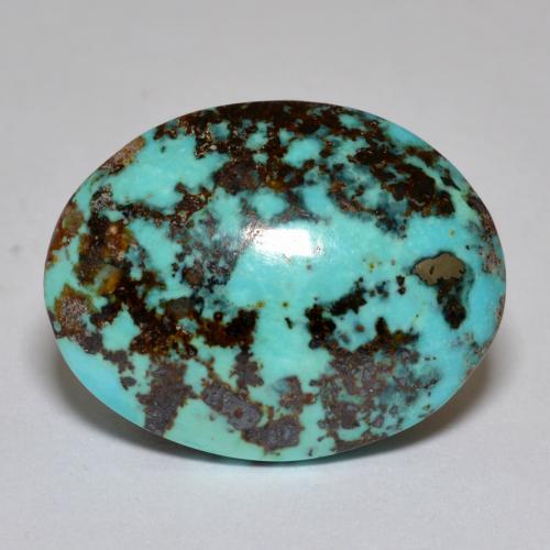 Turquoise turquoise naturelle coupe ovale, 18,42 ct, opaque