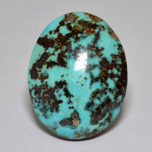 Turquoise turquoise naturelle coupe ovale, 18,42 ct, opaque