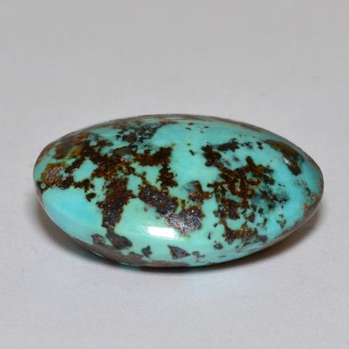 Turquoise turquoise naturelle coupe ovale, 18,42 ct, opaque