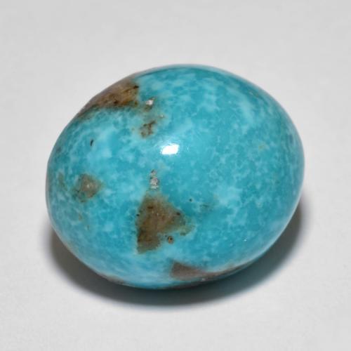 Turquoise Bleu verdâtre naturelle Coupe ovale, 16.08 ct, Opaque