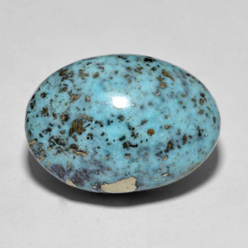 Turquoise turquoise naturelle coupe ovale, 15,80 ct, opaque