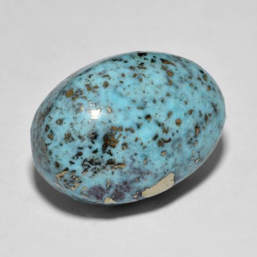 Turquoise turquoise naturelle coupe ovale, 15,80 ct, opaque