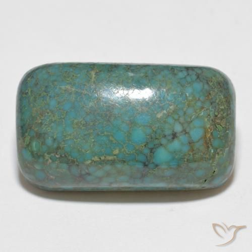 Turquoise Vert bleuâtre naturelle Coupe coussin, 13.09 ct, Opaque