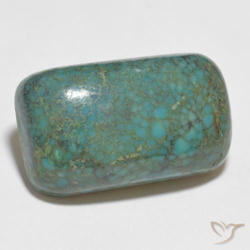 Turquoise Vert bleuâtre naturelle Coupe coussin, 13.09 ct, Opaque