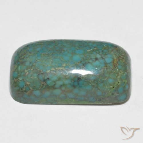 Turquoise Vert bleuâtre naturelle Coupe coussin, 13.09 ct, Opaque