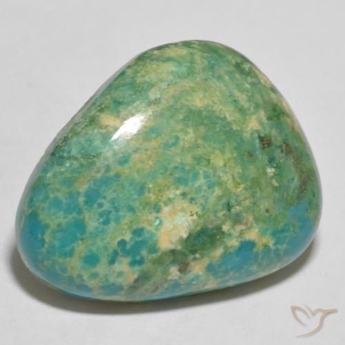 Turquoise Bleu vert moyen-léger naturelle Trillion, 14.63 ct, Opaque