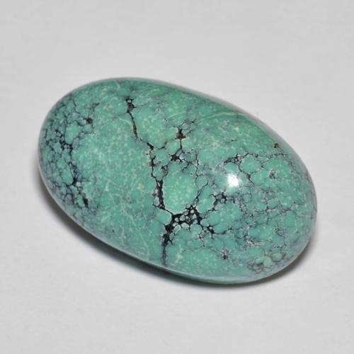 Turquoise turquoise naturelle coupe ovale, 13,76 ct, opaque