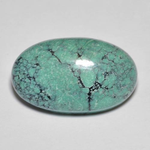 Turquoise turquoise naturelle coupe ovale, 13,76 ct, opaque