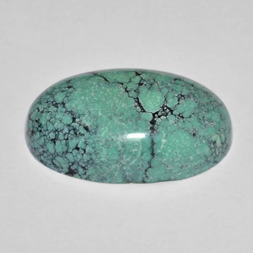 Turquoise turquoise naturelle coupe ovale, 13,76 ct, opaque