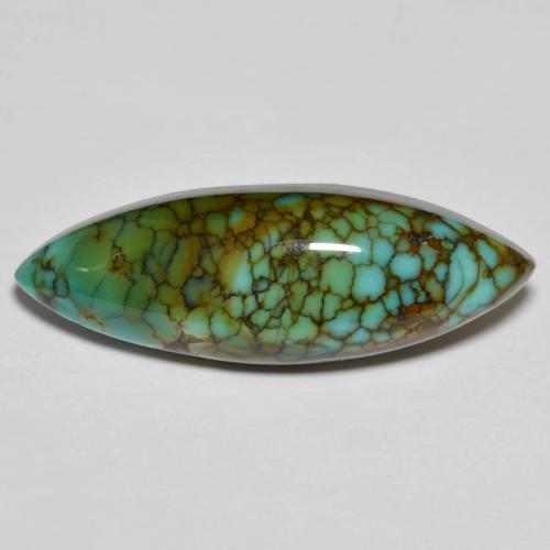 Turquoise multicolore naturelle marquise, 11,50 ct, opaque