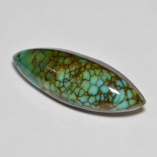 Turquoise multicolore naturelle marquise, 11,50 ct, opaque