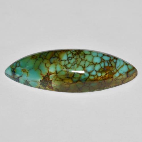 Turquoise multicolore naturelle marquise, 11,50 ct, opaque