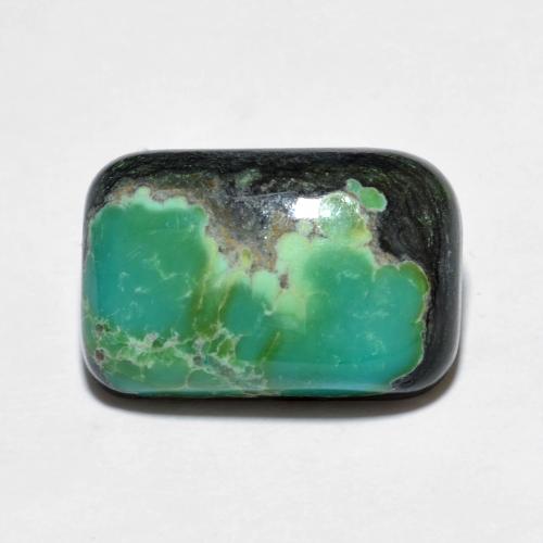 Turquoise multicolore naturelle coupe coussin, 5,93 ct, opaque