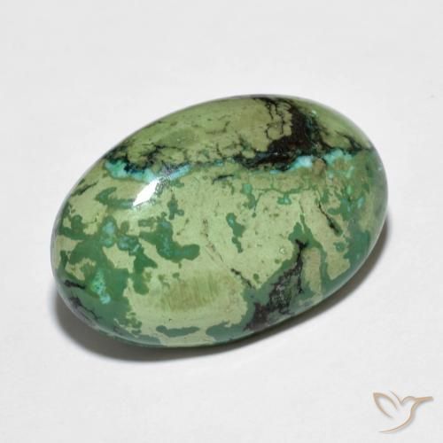 Turquoise vert naturelle coupe ovale, 9,73 ct, opaque