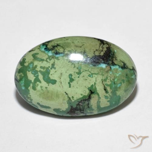 Turquoise vert naturelle coupe ovale, 9,73 ct, opaque