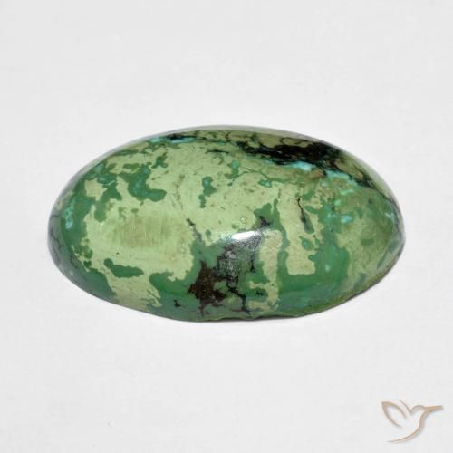Turquoise vert naturelle coupe ovale, 9,73 ct, opaque
