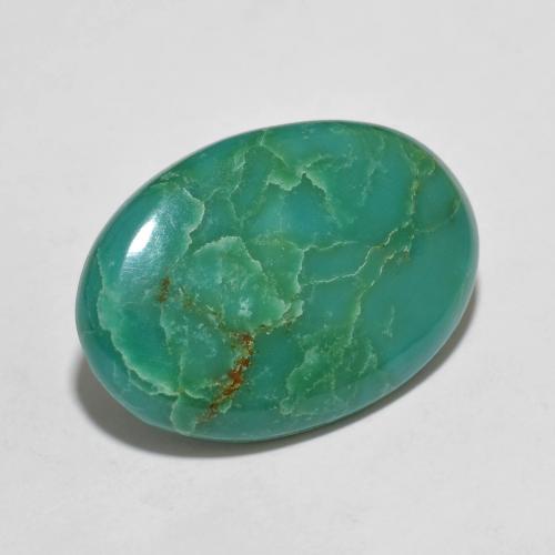 Turquoise Vert mousse de mer naturelle Coupe ovale, 9.98 ct, Opaque
