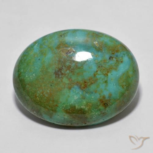 Turquoise Vert moyen naturelle Coupe ovale, 13.03 ct, Opaque