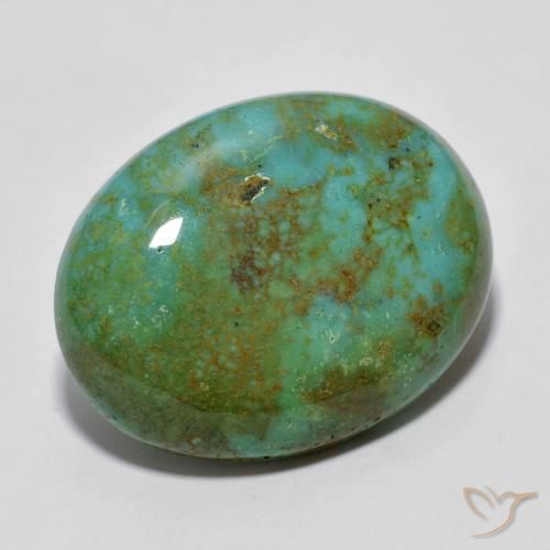 Turquoise Vert moyen naturelle Coupe ovale, 13.03 ct, Opaque