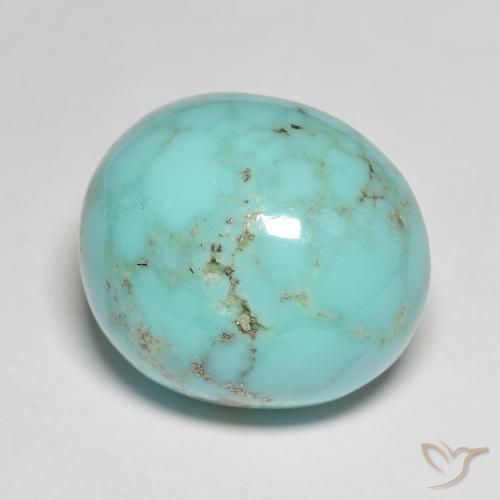 Turquoise turquoise naturelle coupe ovale, 18,73 ct, opaque