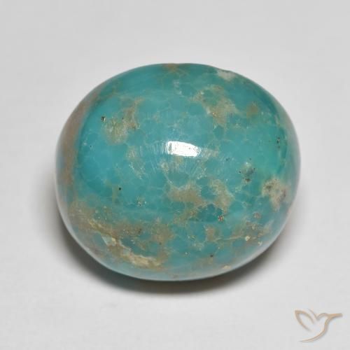 Turquoise Vert mousse de mer naturelle Coupe ovale, 16.08 ct, Opaque