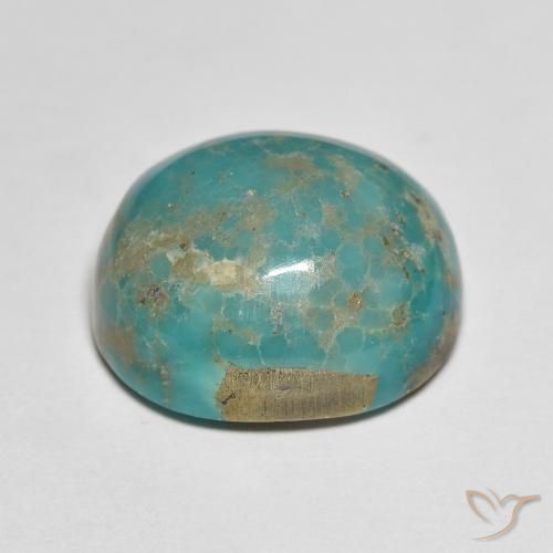 Turquoise Vert mousse de mer naturelle Coupe ovale, 16.08 ct, Opaque