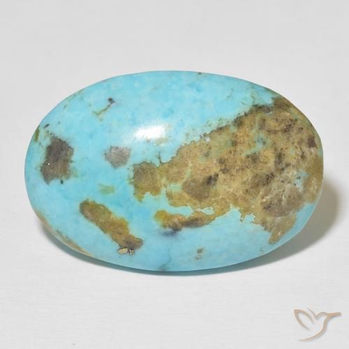 Turquoise turquoise naturelle coupe ovale, 33,51 ct, opaque