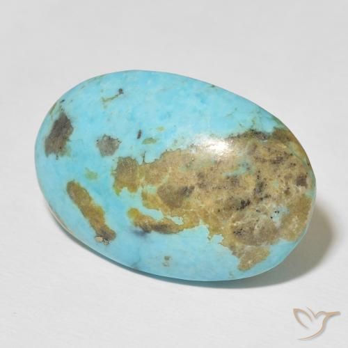 Turquoise turquoise naturelle coupe ovale, 33,51 ct, opaque