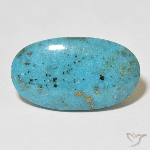 22.58ct Naturel Vert bleu Turquoise, ovale, Opaque