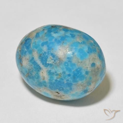 Turquoise Bleu verdâtre vif naturelle ovale, 24.07 ct, Opaque