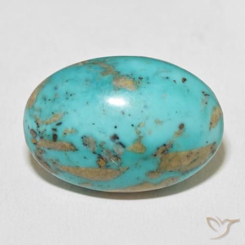 33.66ct Naturel Vert bleuté moyen Turquoise, ovale, Opaque