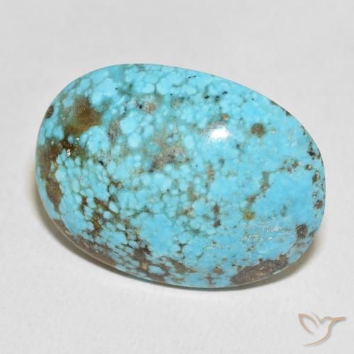 Turquoise Bleu verdâtre naturelle ovale, 48.31 ct, Opaque