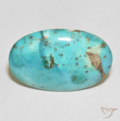 58.82ct Naturel Vert bleuâtre Turquoise, ovale, Opaque