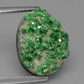 Uvarovite Grenat Drusy Deep Earthy Green naturelle Fantaisie, 9.86 ct, Opaque