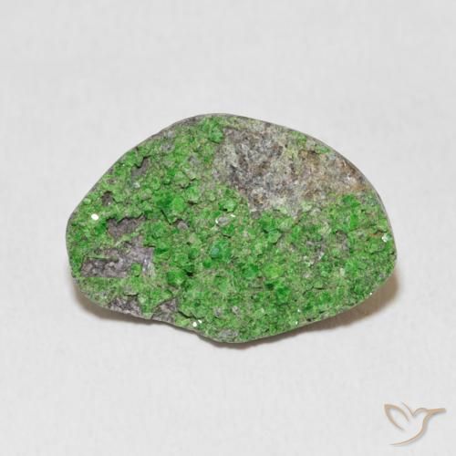 10.37ct Naturel Vert Électrique Uvarovite Grenat Drusy, Fantaisie, Opaque