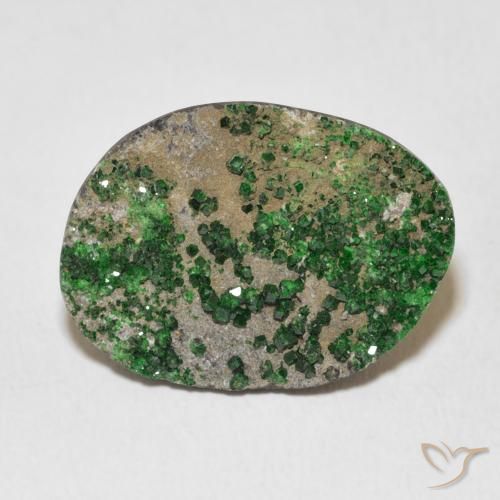 16.55ct Naturel Deep Earthy Green Uvarovite Grenat Drusy, Fantaisie, Opaque