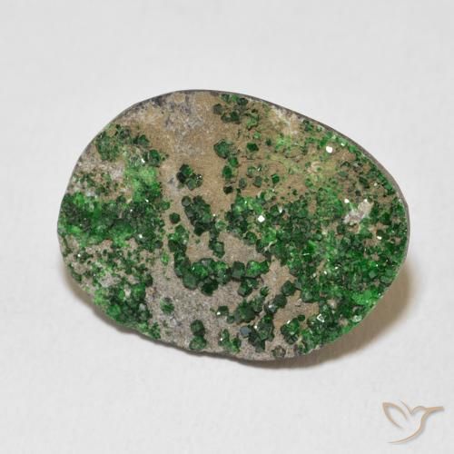 Uvarovite Grenat Drusy Deep Earthy Green naturelle Fantaisie, 16.55 ct, Opaque
