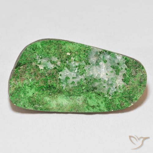 50.60ct Naturel Vert moyen Uvarovite Grenat Drusy, Fantaisie, Opaque