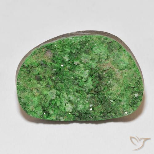46.78ct Naturel Vert moyen Uvarovite Grenat Drusy, Fantaisie, Opaque