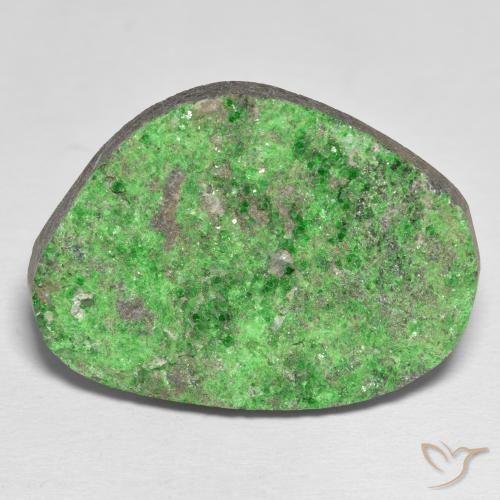 48.09ct Naturel Vert moyen Uvarovite Grenat Drusy, Fantaisie, Opaque