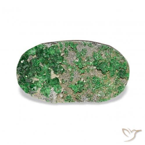 7.91ct Deep Earthy Green Uvarovite Grenat Drusy, ovale, Opaque