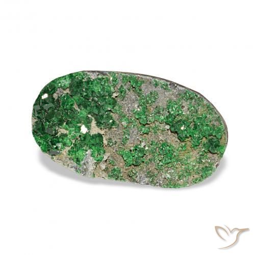 Uvarovite Grenat Drusy Deep Earthy Green naturelle ovale, 7.91 ct, Opaque