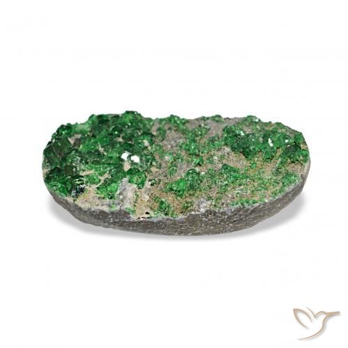 Uvarovite Grenat Drusy Deep Earthy Green naturelle ovale, 7.91 ct, Opaque