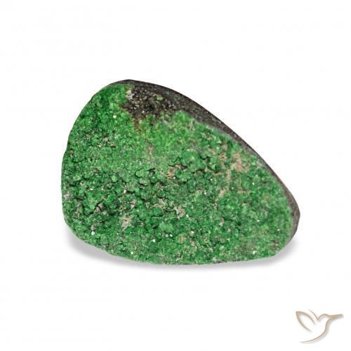 Uvarovite Grenat Drusy Vert foncé naturelle Trillion, 4.86 ct, Opaque
