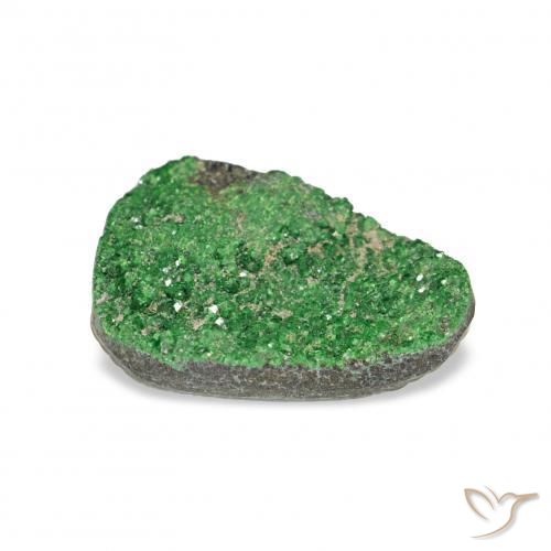 Uvarovite Grenat Drusy Vert foncé naturelle Trillion, 4.86 ct, Opaque