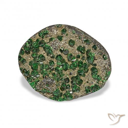 6.73ct Vert Uvarovite Grenat Drusy, Fantaisie, Opaque